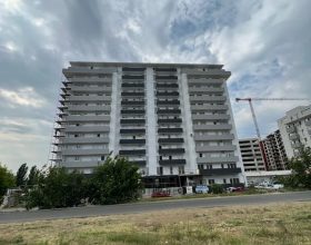 WhatsApp Image 2022-08-10 at 13.38.41