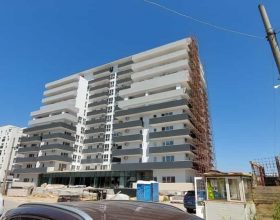 WhatsApp Image 2022-08-10 at 15.43.48